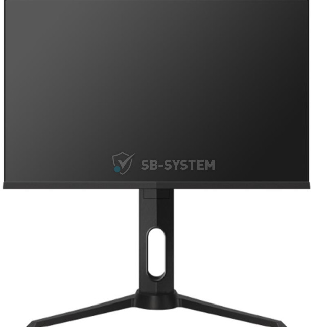 monitor-lcd-27-quot-2e-h2720b-d-sub-dvi-hdmi-dp-audio-ips-2560x1440-freesync-has-933053.jpeg