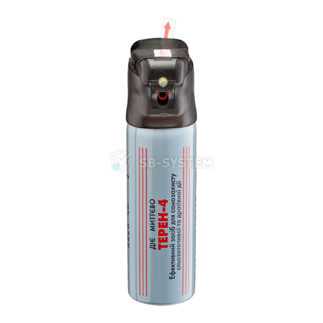gazovyy-ballonchik-teren-4-led-aerozolnogo-tipa-so-svetodiodnym-fonarem-942363.jpeg