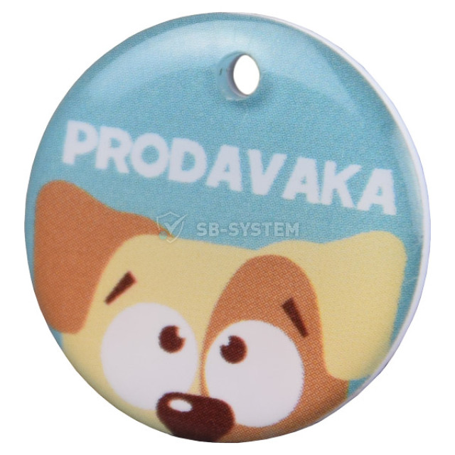 brelok-rfid-keyfob-em-rw-dog-1053527.jpeg