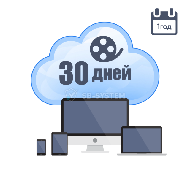 oblachnoe-khranenie-dlya-p2p-kamer-atis-na-1-god-s-glubinoy-arkhiva-30-dney-123199.png
