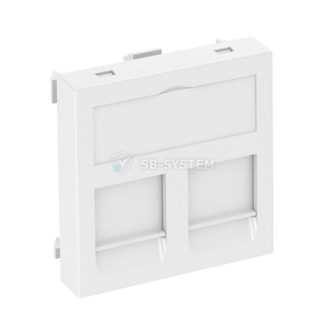 informatsionnaya-panel-obo-bettermann-45-kh-45-mm-2-rj45-pustaya-belaya-890747.jpeg