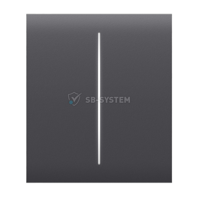 knopka-ajax-centerbutton-2-gang-graphite-dlya-dvukhklavishnogo-vyklyuchatelya-1015152.jpeg